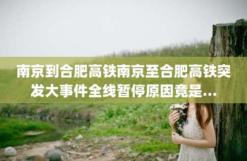 南京到合肥高铁南京至合肥高铁突发大事件全线暂停原因竟是...