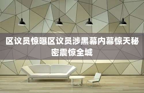 区议员惊曝区议员涉黑幕内幕惊天秘密震惊全城