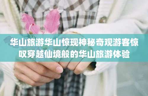 华山旅游华山惊现神秘奇观游客惊叹穿越仙境般的华山旅游体验