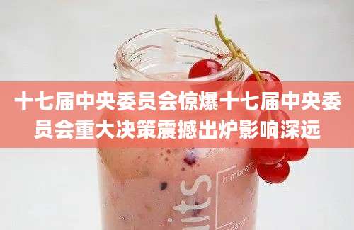 十七届中央委员会惊爆十七届中央委员会重大决策震撼出炉影响深远