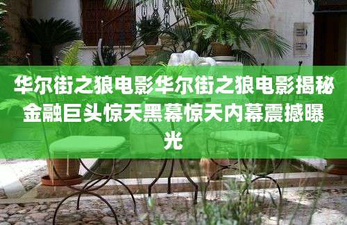 华尔街之狼电影华尔街之狼电影揭秘金融巨头惊天黑幕惊天内幕震撼曝光