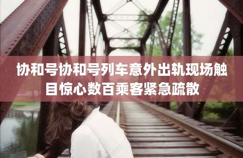 协和号协和号列车意外出轨现场触目惊心数百乘客紧急疏散