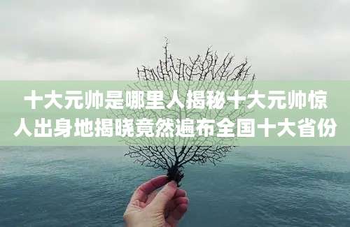 十大元帅是哪里人揭秘十大元帅惊人出身地揭晓竟然遍布全国十大省份