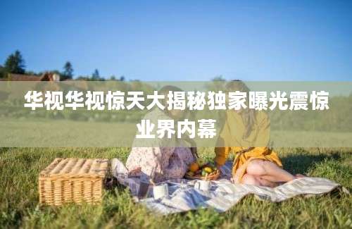 华视华视惊天大揭秘独家曝光震惊业界内幕