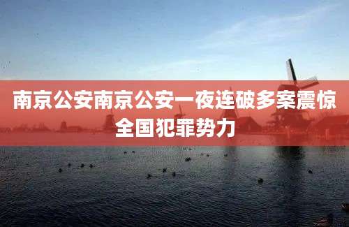 南京公安南京公安一夜连破多案震惊全国犯罪势力