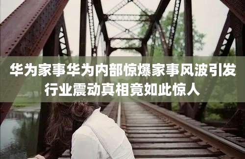 华为家事华为内部惊爆家事风波引发行业震动真相竟如此惊人