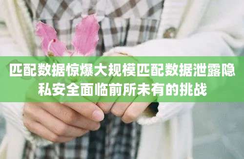 匹配数据惊爆大规模匹配数据泄露隐私安全面临前所未有的挑战