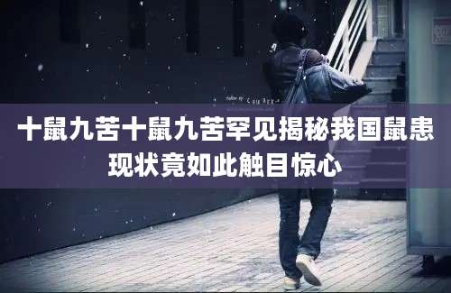 十鼠九苦十鼠九苦罕见揭秘我国鼠患现状竟如此触目惊心