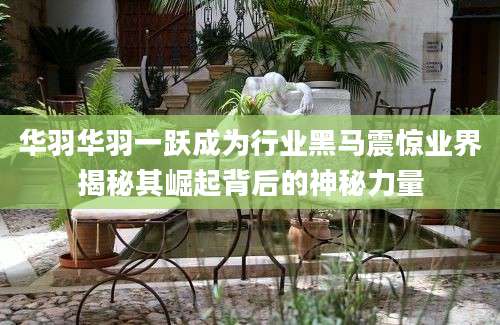 华羽华羽一跃成为行业黑马震惊业界揭秘其崛起背后的神秘力量