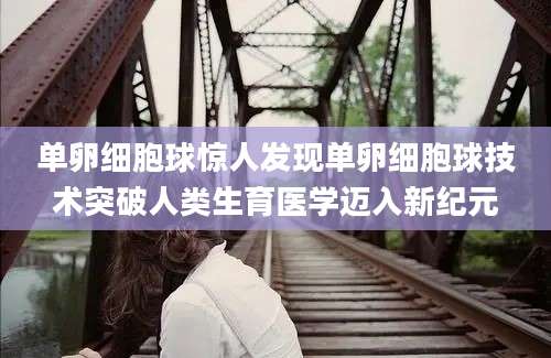 单卵细胞球惊人发现单卵细胞球技术突破人类生育医学迈入新纪元