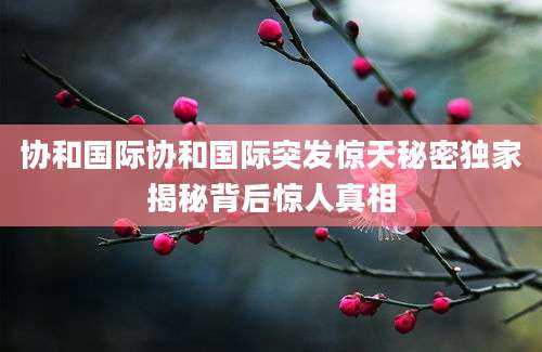 协和国际协和国际突发惊天秘密独家揭秘背后惊人真相