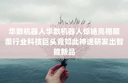 华数机器人华数机器人惊艳亮相颠覆行业科技巨头竟如此神速研发出智能新品