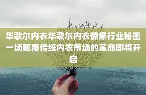 华歌尔内衣华歌尔内衣惊爆行业秘密一场颠覆传统内衣市场的革命即将开启