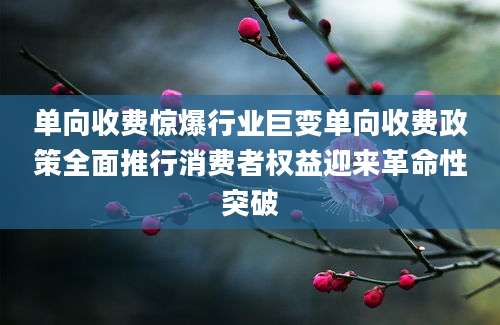 单向收费惊爆行业巨变单向收费政策全面推行消费者权益迎来革命性突破