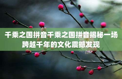 千乘之国拼音千乘之国拼音揭秘一场跨越千年的文化震撼发现