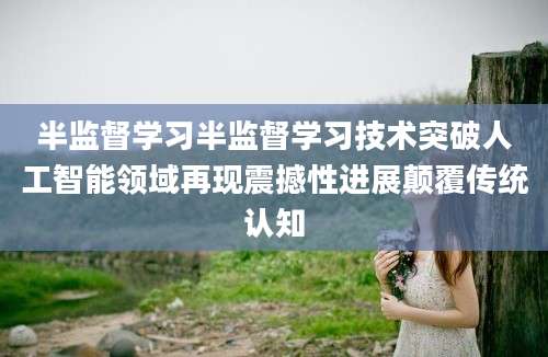 半监督学习半监督学习技术突破人工智能领域再现震撼性进展颠覆传统认知
