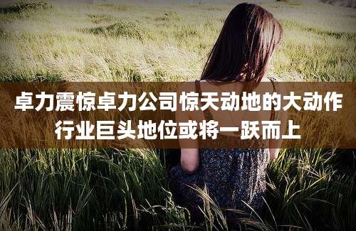 卓力震惊卓力公司惊天动地的大动作行业巨头地位或将一跃而上
