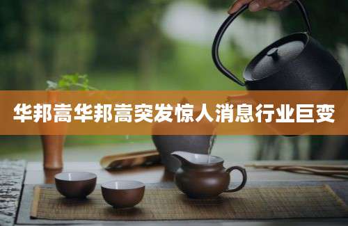 华邦嵩华邦嵩突发惊人消息行业巨变