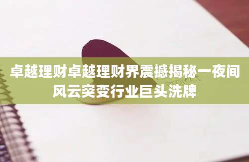 卓越理财卓越理财界震撼揭秘一夜间风云突变行业巨头洗牌