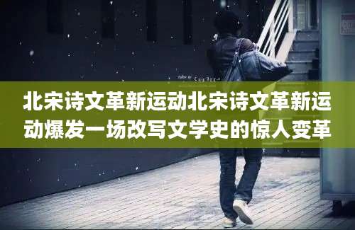 北宋诗文革新运动北宋诗文革新运动爆发一场改写文学史的惊人变革