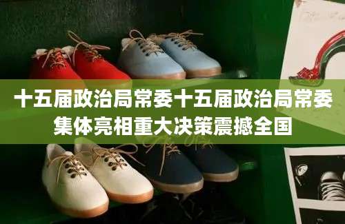 十五届政治局常委十五届政治局常委集体亮相重大决策震撼全国