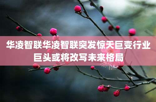 华凌智联华凌智联突发惊天巨变行业巨头或将改写未来格局