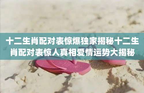 十二生肖配对表惊爆独家揭秘十二生肖配对表惊人真相爱情运势大揭秘