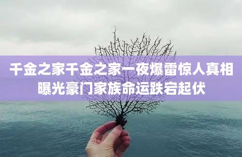 千金之家千金之家一夜爆雷惊人真相曝光豪门家族命运跌宕起伏