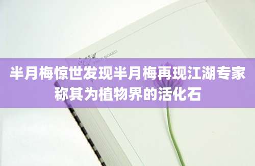 半月梅惊世发现半月梅再现江湖专家称其为植物界的活化石