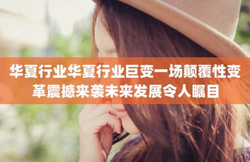 华夏行业华夏行业巨变一场颠覆性变革震撼来袭未来发展令人瞩目