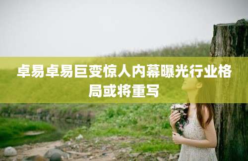 卓易卓易巨变惊人内幕曝光行业格局或将重写