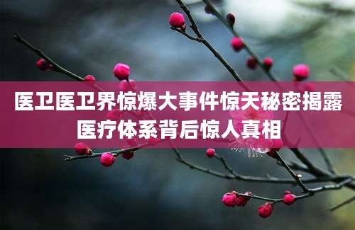 医卫医卫界惊爆大事件惊天秘密揭露医疗体系背后惊人真相
