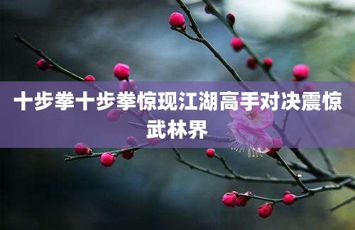 十步拳十步拳惊现江湖高手对决震惊武林界