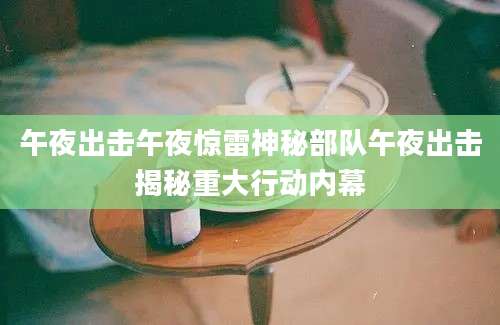 午夜出击午夜惊雷神秘部队午夜出击揭秘重大行动内幕