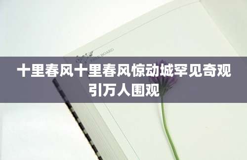十里春风十里春风惊动城罕见奇观引万人围观