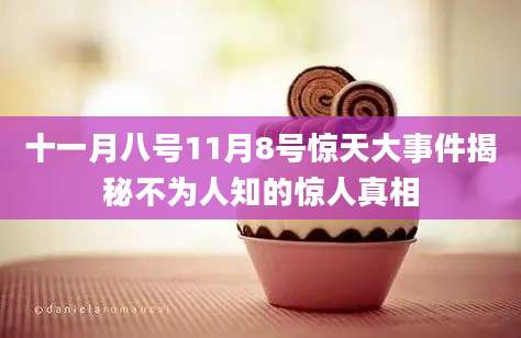 十一月八号11月8号惊天大事件揭秘不为人知的惊人真相