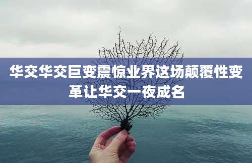 华交华交巨变震惊业界这场颠覆性变革让华交一夜成名