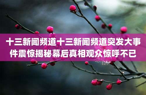 十三新闻频道十三新闻频道突发大事件震惊揭秘幕后真相观众惊呼不已