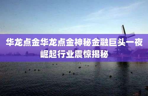 华龙点金华龙点金神秘金融巨头一夜崛起行业震惊揭秘