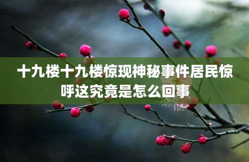 十九楼十九楼惊现神秘事件居民惊呼这究竟是怎么回事