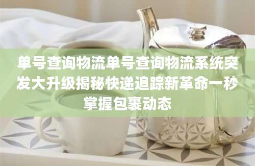 单号查询物流单号查询物流系统突发大升级揭秘快递追踪新革命一秒掌握包裹动态