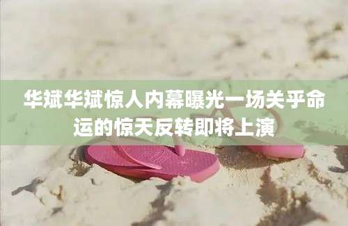 华斌华斌惊人内幕曝光一场关乎命运的惊天反转即将上演