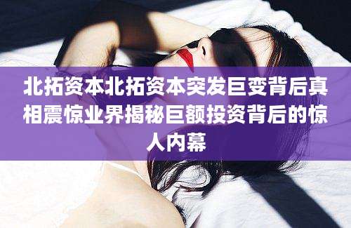 北拓资本北拓资本突发巨变背后真相震惊业界揭秘巨额投资背后的惊人内幕