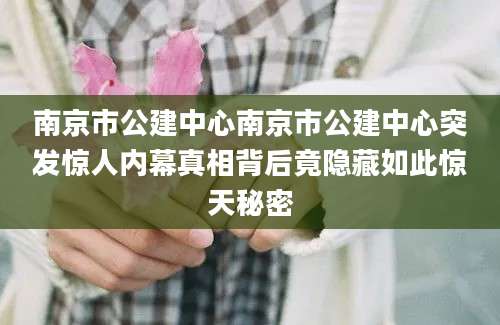南京市公建中心南京市公建中心突发惊人内幕真相背后竟隐藏如此惊天秘密