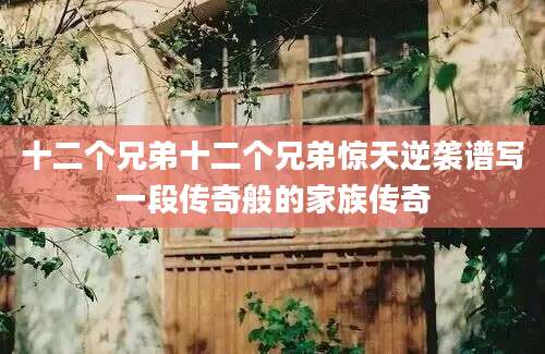 十二个兄弟十二个兄弟惊天逆袭谱写一段传奇般的家族传奇