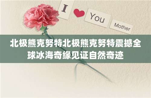 北极熊克努特北极熊克努特震撼全球冰海奇缘见证自然奇迹