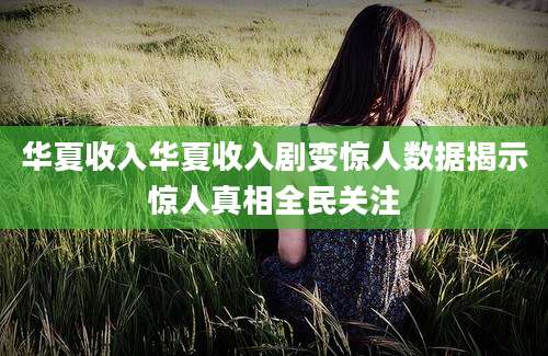 华夏收入华夏收入剧变惊人数据揭示惊人真相全民关注