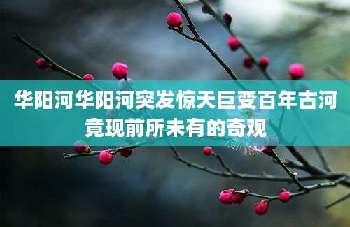 华阳河华阳河突发惊天巨变百年古河竟现前所未有的奇观