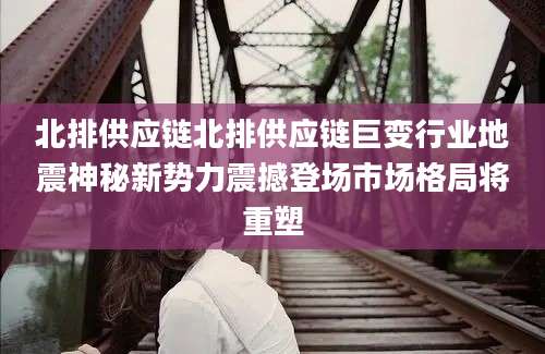 北排供应链北排供应链巨变行业地震神秘新势力震撼登场市场格局将重塑