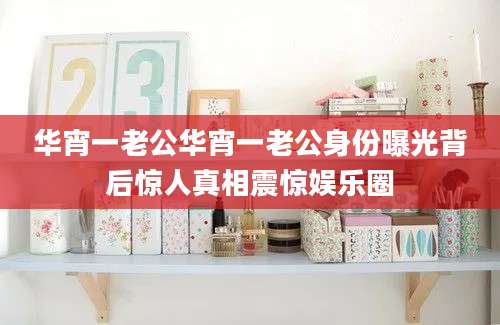 华宵一老公华宵一老公身份曝光背后惊人真相震惊娱乐圈